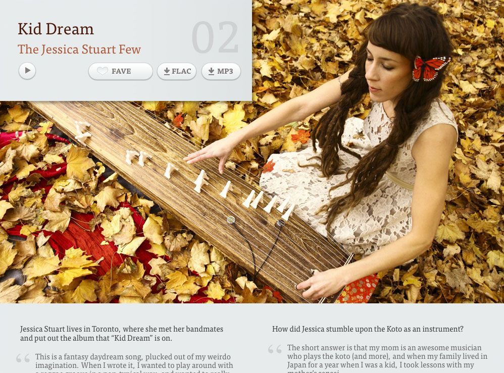 Issue-track-screenshot